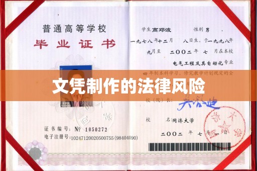 祁阳文凭制作的法律风险