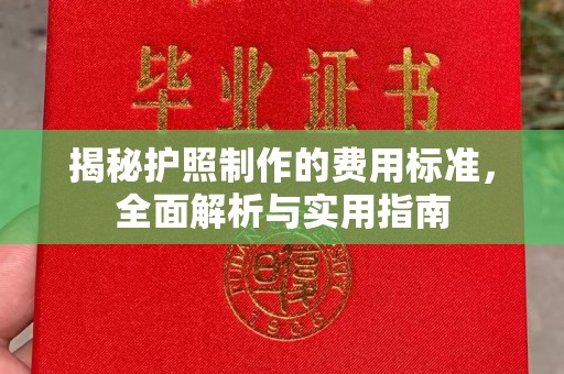 祁阳揭秘护照制作的费用标准，全面解析与实用指南