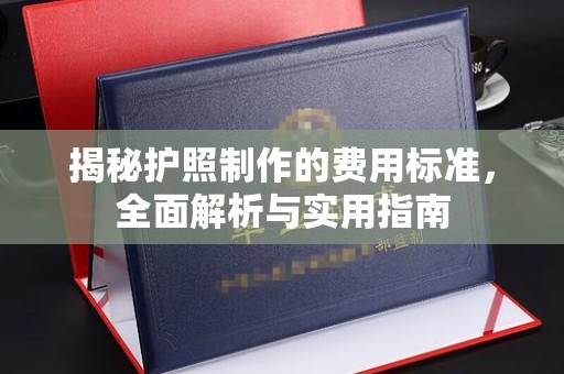 祁阳揭秘护照制作的费用标准，全面解析与实用指南
