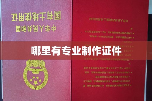 祁阳哪里有专业制作证件