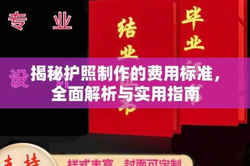 祁阳揭秘护照制作的费用标准，全面解析与实用指南