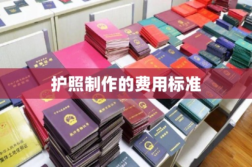 祁阳护照制作的费用标准