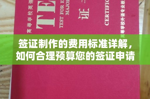 祁阳签证制作的费用标准详解，如何合理预算您的签证申请成本